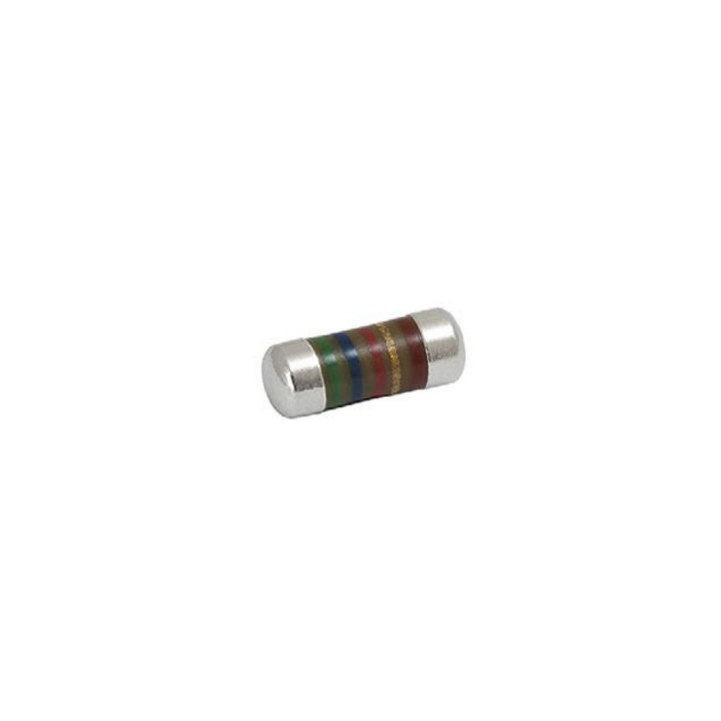 Фото 0204  10 VISHAY — SMM02040C1009FB300