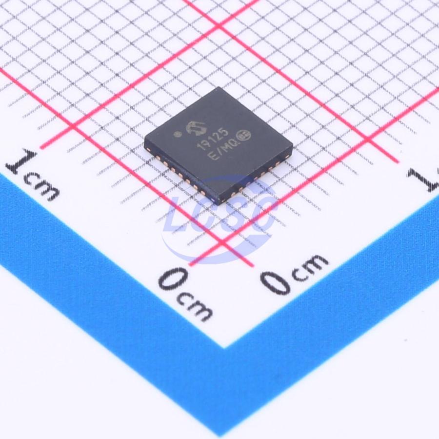 Фото MCP19125T-E/MQ Microchip Technology Inc. — MCP19125T-E/MQ — Разное — Microchip Technology Inc.